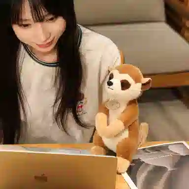 JBBCN 25cm
