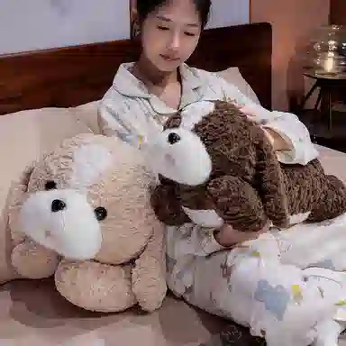 JBBCN 65cm90cm