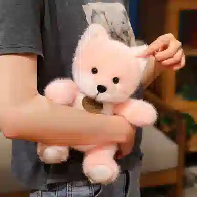 JBBCN 25cm