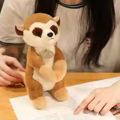 JBBCN 25cm