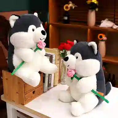 JBBCN 40cm