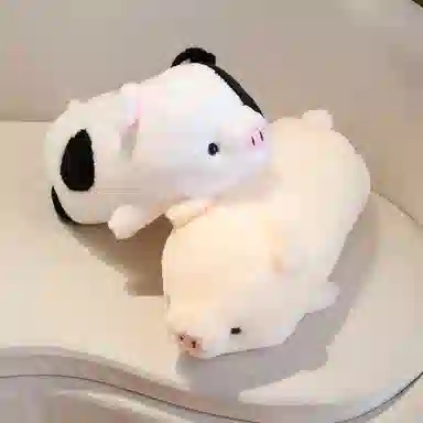 JBBCN 40cm50cm