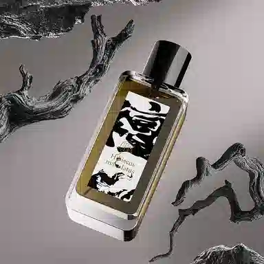 EDP 50ml