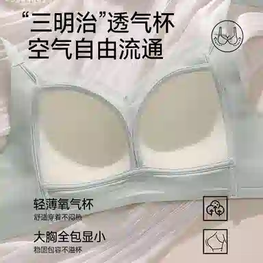 都市丽人 法式蕾丝大胸显小透气蜂巢杯舒适承托果冻条支撑防下垂收副乳轻薄不变形不上窜文胸 女款 礼袋装