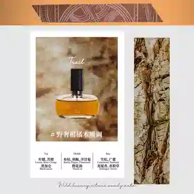 SCENT CHANT Trai EDP