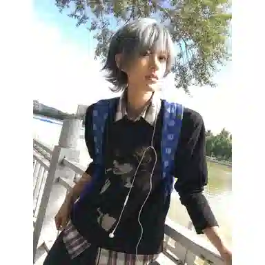 DOGANSON vintageinsT