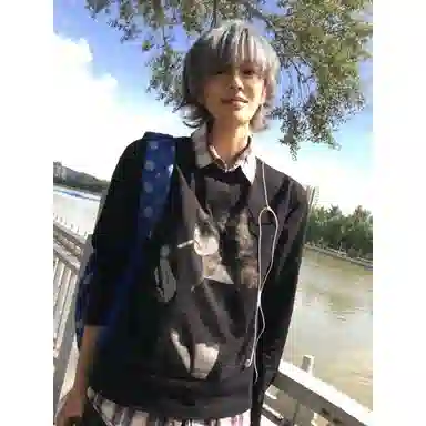 DOGANSON vintageinsT