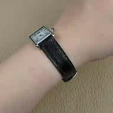 Benchmark 210mm tankmust Lizard