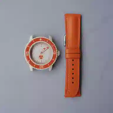 Swatch