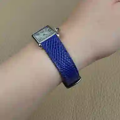 Benchmark 210mm tankmust Lizard