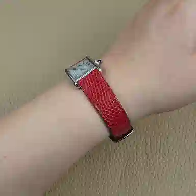 Benchmark 210mm tankmust Lizard