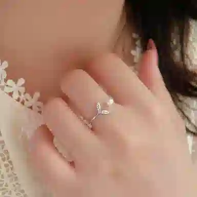 LAA S999