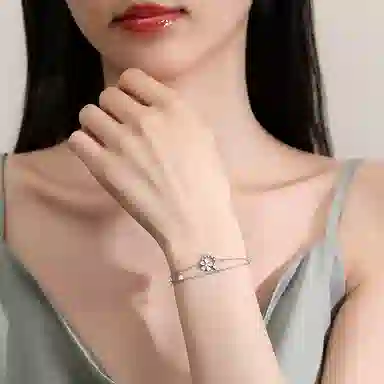 LAA ins 925