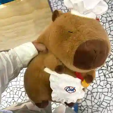 X2HOMME 35cm75cm45cm60cm