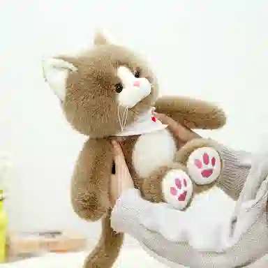 X2HOMME 25cm35cm