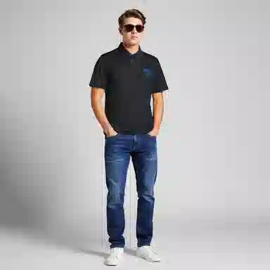 Automobili Lamborghini logoPolo