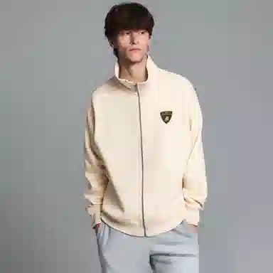 Automobili Lamborghini logo