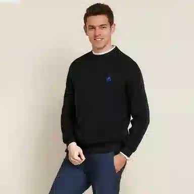 Automobili Lamborghini logo