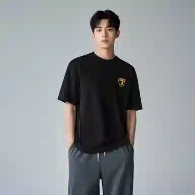 Automobili Lamborghini logoT