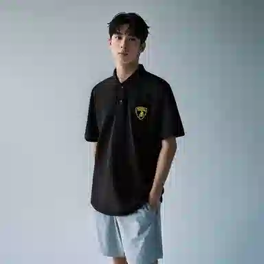 Automobili Lamborghini LogoPolo