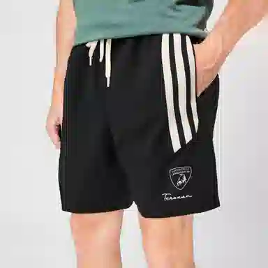 Automobili Lamborghini