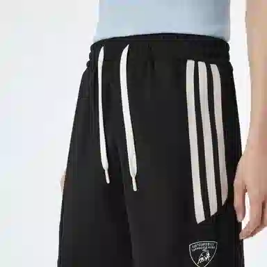 Automobili Lamborghini