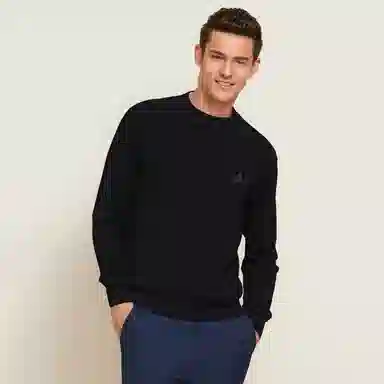 Automobili Lamborghini logo