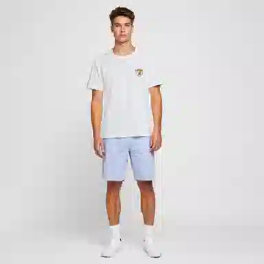 Automobili Lamborghini logoT