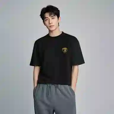 Automobili Lamborghini logoT