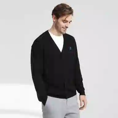 Automobili Lamborghini logoV