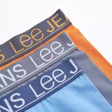 Lee 3