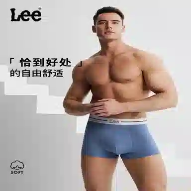 Lee logo 3