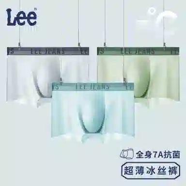 Lee 4