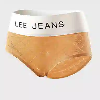 Lee 4