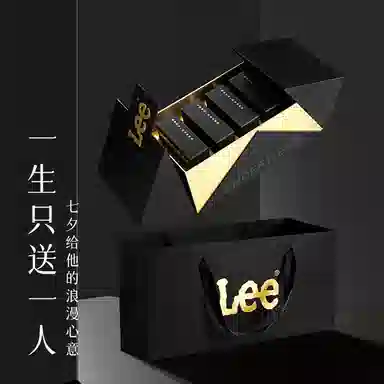 Lee 5