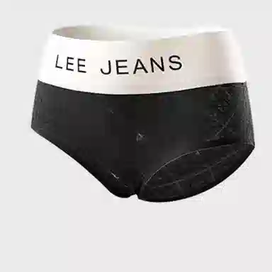 Lee 4