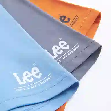 Lee 3