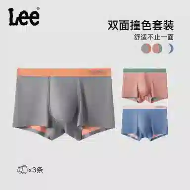 Lee 3