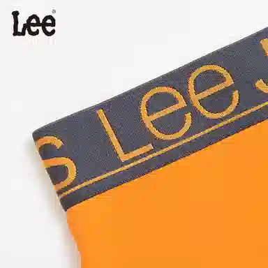 Lee 3