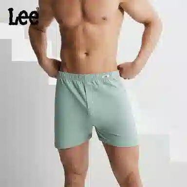 Lee 3