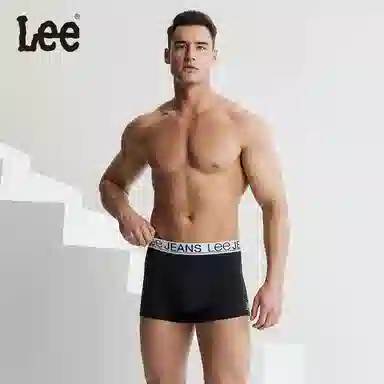 Lee 3