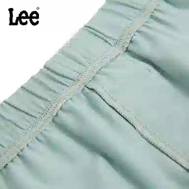Lee 3