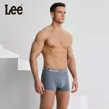 Lee 3
