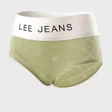 Lee 4