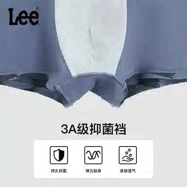 Lee Logo 3