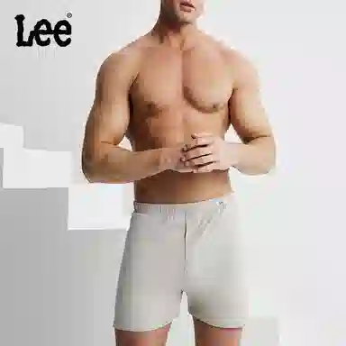 Lee 3