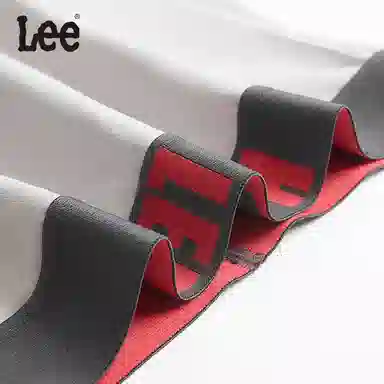 Lee Logo 3