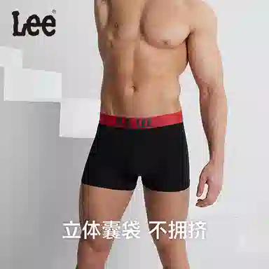 Lee Logo 3