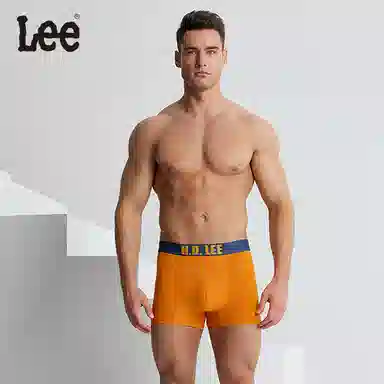 Lee Logo 3