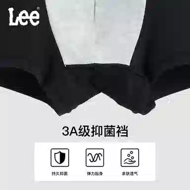 Lee logo 3